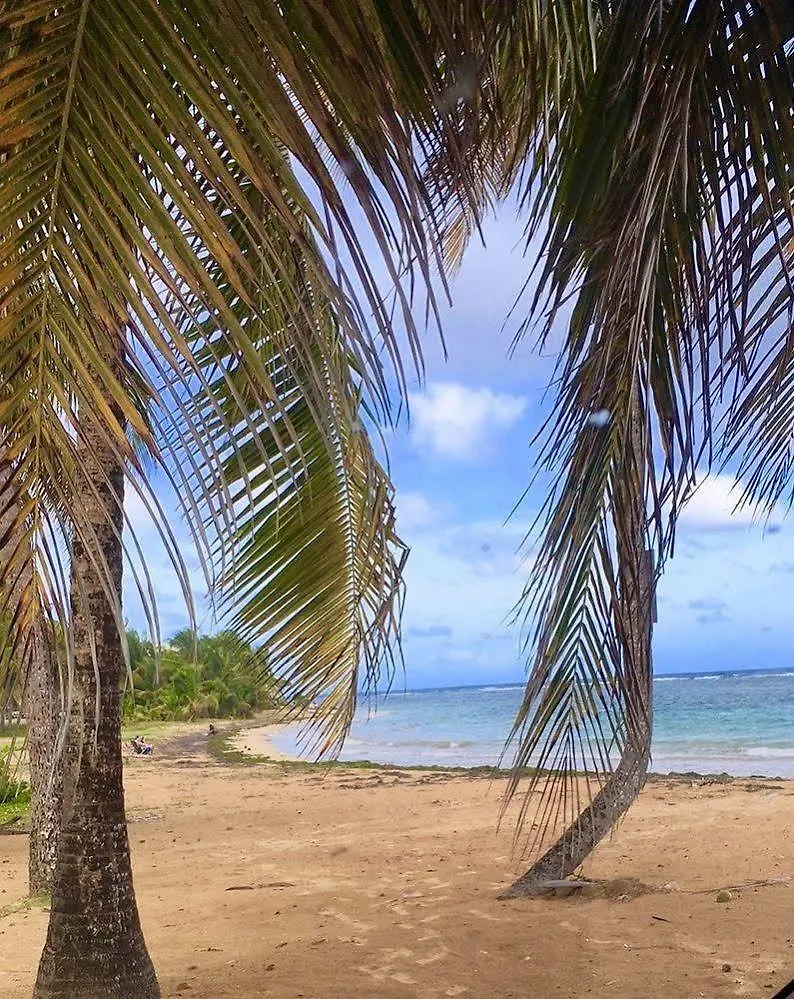 ***  Ocean Pearl Inn Luquillo Porto Riko